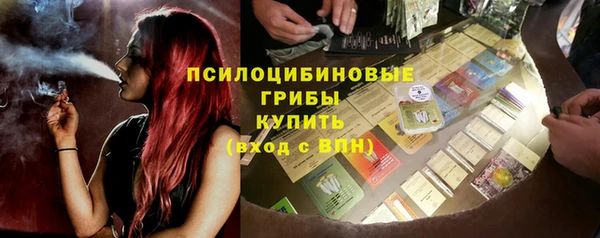 твердый Абаза