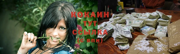 стаф Абинск