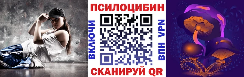 Галлюциногенные грибы MAGIC MUSHROOMS  продажа наркотиков  Кировград 